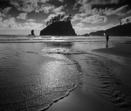 Picture of USA-WASHINGTON STATE A BEACHGOER STROLLING SECOND BEACH IN LATE AFTERNOON