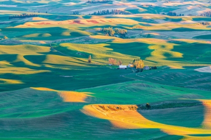 Picture of STEPTOE BUTTE STATE PARK-WASHINGTON STATE-USA-SUNSET VIEW OF WHEAT FARMS IN THE ROLLING PALOUSE HIL