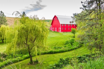 Picture of COLFAX-WASHINGTON STATE-USA-A RED BARN ON A FARM IN THE PALOUSE HILLS