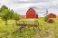 Picture of ALBION-WASHINGTON STATE-USA-RED BARNS AND ANTIQUE FARM EQUIPMENT IN THE PALOUSE HILLS