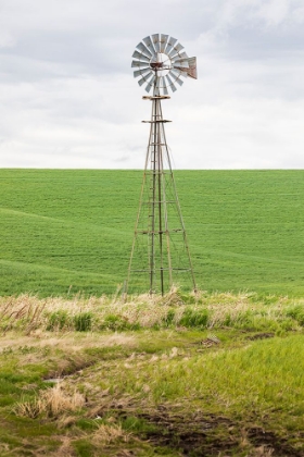 Picture of PALOUSE-WASHINGTON STATE-USA-WINDMILL IN WHEAT FIELD IN THE PALOUSE HILLS