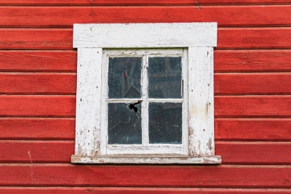 Picture of LATAH-WASHINGTON STATE-USA-WHITE FRAMED WINDOW IN A RED BARN