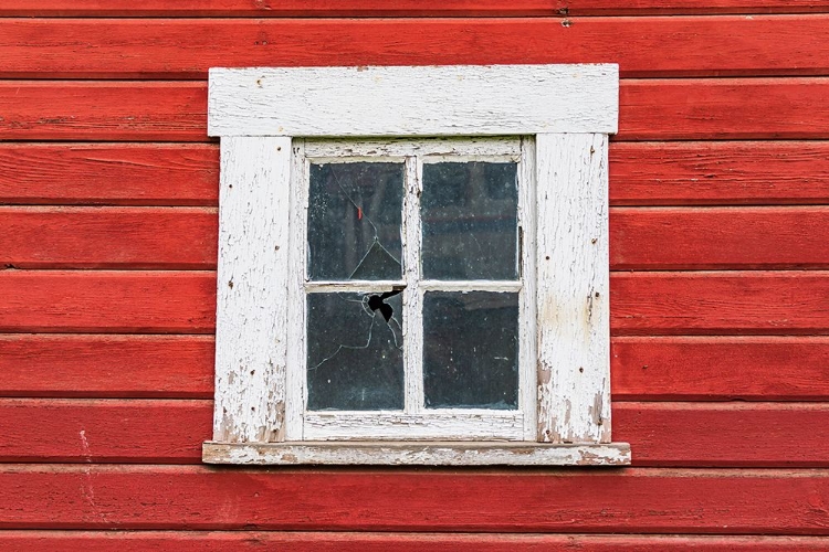 Picture of LATAH-WASHINGTON STATE-USA-WHITE FRAMED WINDOW IN A RED BARN