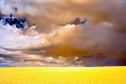 Picture of USA-PALOUSE ABSTRACT