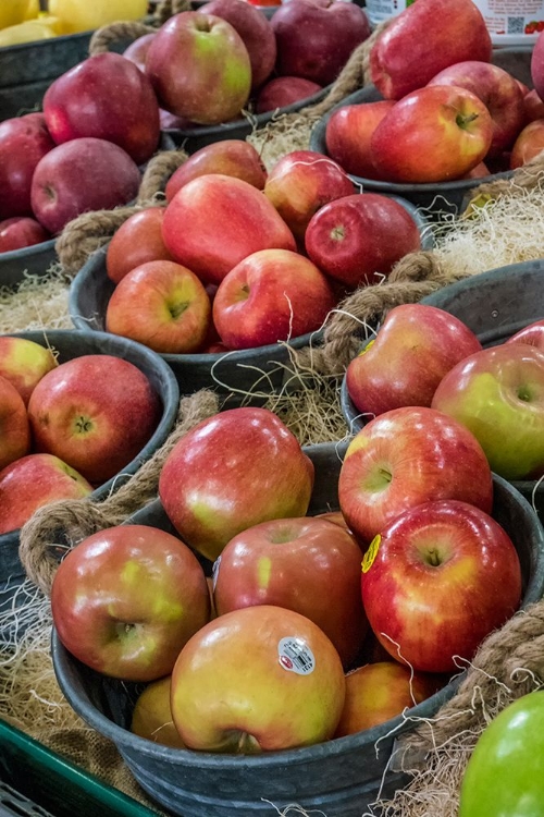 Picture of WENATCHEE-WASHINGTON STATE-USA FRESHLY HARVESTED LOCALLY GROWN FUJI AND OTHER APPLES