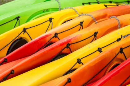 Picture of ISSAQUAH-WASHINGTON STATE-USA COLORFUL KAYAKS LYING ON THEIR SIDE