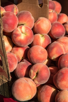 Picture of ISSAQUAH-WASHINGTON STATE-USA BOXES OF WHITE LADY PEACHES FOR SALE AT A FARMERS MARKET