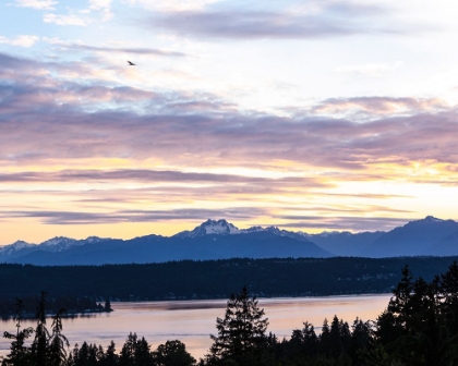 Picture of BREMERTON-WASHINGTON STATE-OLYMPIC MOUNTAINS-PUGET SOUND