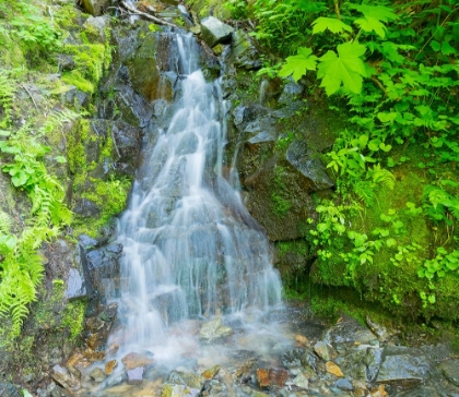 Picture of WASHINGTON STATE-CENTRAL CASCADES-WATERFALL-ON TRAIL TO ANNETTE LAKE