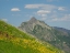 Picture of WASHINGTON STATE-CENTRAL CASCADES-RAMPART RIDGE-ALTA MOUNTAIN AND WILDFLOWERS