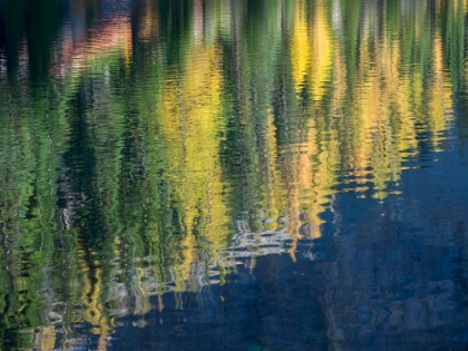 Picture of WASHINGTON STATE-NORTH CASCADES-BLUE LAKE-LARCH TREE REFLECTIONS