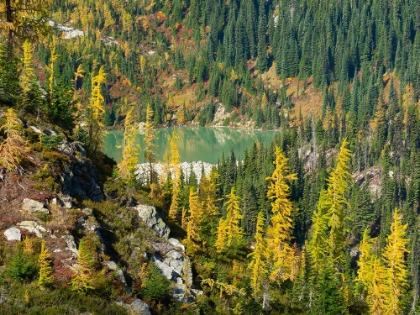 Picture of WASHINGTON STATE-NORTH CASCADES-LEWIS LAKE-VIEW FROM HEATHER PASS