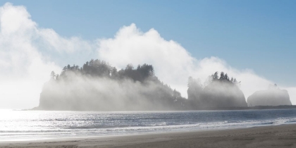 Picture of WASHINGTON STATE-PACIFIC COAST-FIRST BEACH JAMES ISLAND IN FOG