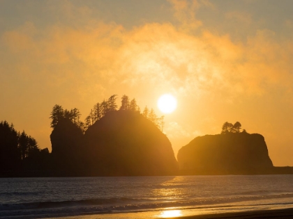 Picture of WASHINGTON STATE-PACIFIC COAST-FIRST BEACH SUNSET