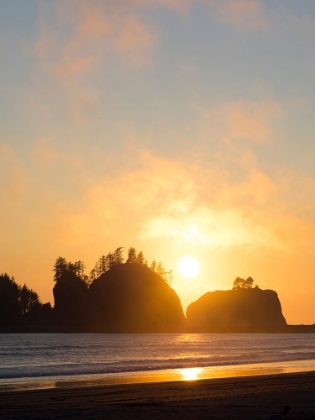 Picture of WASHINGTON STATE-PACIFIC COAST-FIRST BEACH SUNSET