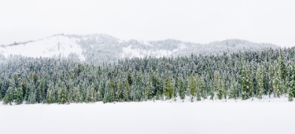 Picture of WASHINGTON STATE-CENTRAL CASCADES WINTER AT FROZEN OLALLIE LAKE