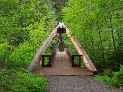 Picture of WASHINGTON STATE-CENTRAL CASCADES FOOTBRIDGE-OVER MIDDLE FORK SNOQUALMIE RIVER