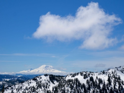 Picture of WASHINGTON STATE-CENTRAL CASCADES VIEW OF MOUNT RAINIER FROM PRATT MOUNTAIN