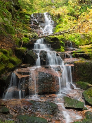 Picture of WASHINGTON STATE-CENTRAL CASCADES DELICATE STAIRSTEP WATERFALL