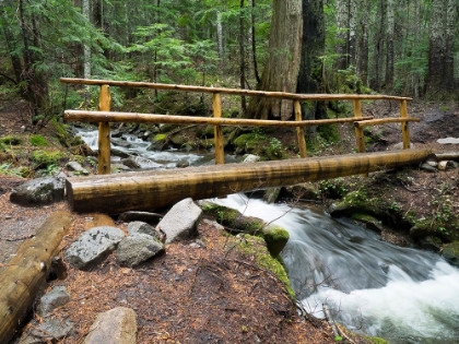 Picture of WASHINGTON STATE-CENTRAL CASCADES FOOTBRIDGE OVER TALAPUS CREEK