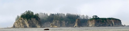 Picture of WASHINGTON STATE-OLYMPIC NATIONAL PARK-RIALTO BEACH JAMES ISLAND