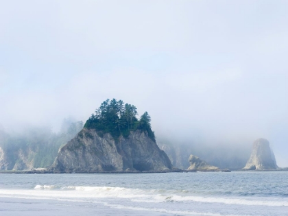 Picture of WASHINGTON STATE-OLYMPIC NATIONAL PARK-RIALTO BEACH JAMES ISLAND