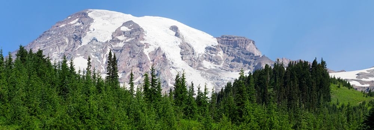 Picture of WASHINGTON STATE-MOUNT RAINIER NATIONAL PARK VIEW FROM SKYLINE TRAIL