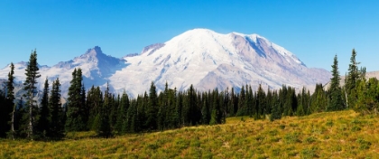 Picture of WASHINGTON STATE-MOUNT RAINIER NATIONAL PARK MOUNT RAINIER