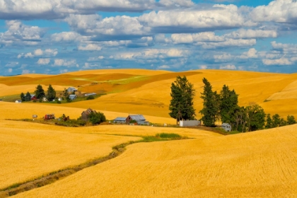 Picture of CLOUDS ABOVE FARM HOUSE ON WHEAT FIELD-PALOUSE-EASTERN WASHINGTON STATE-USA