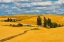 Picture of CLOUDS ABOVE FARM HOUSE ON WHEAT FIELD-PALOUSE-EASTERN WASHINGTON STATE-USA