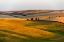 Picture of LANDSCAPE OF ROLLING WHEAT FIELD AT SUNRISE-PALOUSE-WASHINGTON STATE-USA