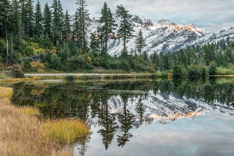 Picture of WASHINGTON STATE-MT BAKER AND SNOQUALMIE NATIONAL FOREST-MT SHUKSAN AND PICTURE LAKE