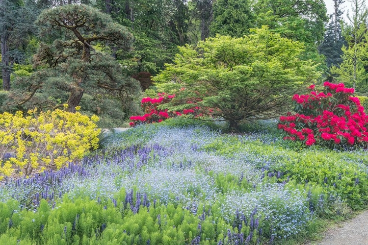 Picture of WASHINGTON STATE-SEATTLE KUBOTA GARDEN