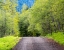 Picture of USA-WASHINGTON STATE-OLD CASCADE HIGHWAY OFF OF HIGHWAY 2