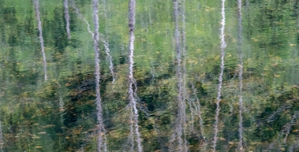 Picture of USA-WASHINGTON STATE-OLD CASCADE HIGHWAY OFF OF HIGHWAY 2 AND POND REFLECTING ALDER TREES