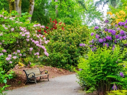 Picture of USA-WASHINGTON STATE-PACIFIC NORTHWEST-BELLEVUE AND THE BELLEVUE BOTANICAL GARDENS