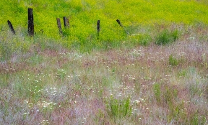 Picture of USA-WASHINGTON STATE-BENGE WOODEN POST FENCE AND GRASSES ON ROLLING HILLS