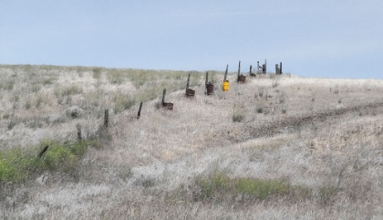 Picture of USA-WASHINGTON STATE-BENGE WOODEN POST FENCE AND GRASSES ON ROLLING HILLS