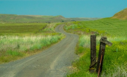 Picture of USA-WASHINGTON STATE-EASTERN WASHINGTON NEAR BENGE AND CURVED GRAVEL ROAD