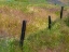 Picture of USA-WASHINGTON STATE-PALOUSE WITH WOODEN FENCE POSTS IN GRASS FIELD