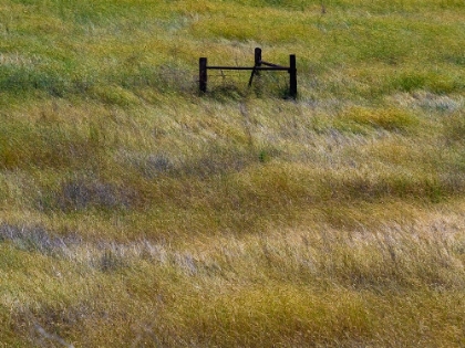Picture of USA-WASHINGTON STATE-PALOUSE WITH WOODEN FENCE POSTS IN GRASS FIELD
