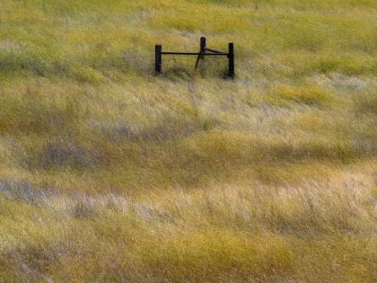 Picture of USA-WASHINGTON STATE-PALOUSE WITH WOODEN FENCE POSTS IN GRASS FIELD
