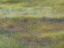 Picture of USA-WASHINGTON STATE-EASTERN WASHINGTON FIELD OF WILDFLOWERS NEAR WINONA