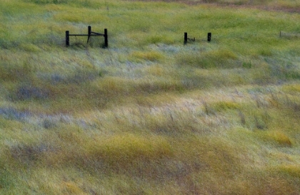 Picture of USA-WASHINGTON STATE-PALOUSE WITH WOODEN FENCE POSTS IN GRASS FIELD