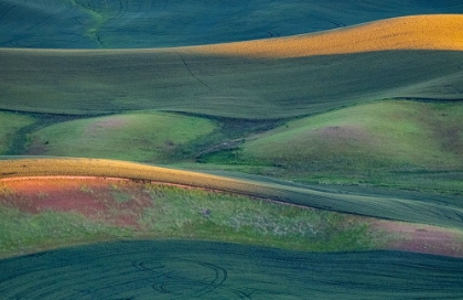 Picture of USA-WASHINGTON STATE-PALOUSE AND STEPTOE BUTTE STATE PARK VIEW OF WHEAT FIELDS LAST LIGHT