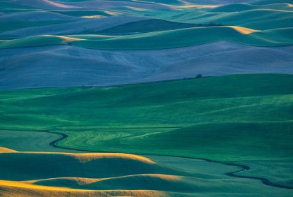 Picture of USA-WASHINGTON STATE-PALOUSE AND STEPTOE BUTTE STATE PARK VIEW OF WHEAT FIELDS LAST LIGHT