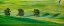 Picture of USA-WASHINGTON STATE-PALOUSE WITH THREE COTTONWOODS IN FIELD OF GREEN WINTER WHEAT