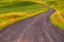 Picture of USA-WASHINGTON STATE-PALOUSE WITH GRAVEL CURVED ROAD EDGED WITH POPPIES AND YELLOW CANOLA