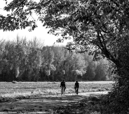 Picture of USA-WASHINGTON STATE-FALL CITY BLACK AND WHITE TWO BIKE RIDERS ALONG NEAL RD SE