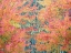 Picture of USA-WASHINGTON STATE-ISSAQUAH WITH FALL COLORED MAPLE TREES ALONG DOWNTOWN ROADS